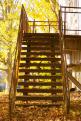 escalier automne