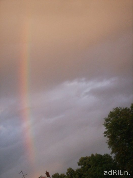 rainbow (3)