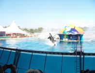 marineland
