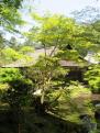 4 - Nanzenji (11)