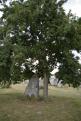 mercredi 5 aout (125)