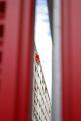 le rouge (4)