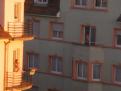 filledubalcon