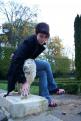 le lion (1)