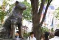5 - hachiko (2)
