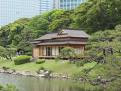 2 - parc Hamarikyu (22)