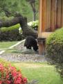 2 - parc Hamarikyu (17)