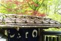 04 - Ryoan-ji (20)