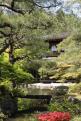 1 - Ginkakuji (7)