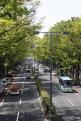 05 - Omotesando (1)