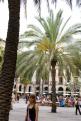 j2 - plaza reial (1)