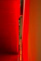 le rouge (16)