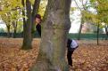 lejo arbre moitie