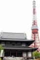 3 - tokyo tower et temple zojo-ji (3)