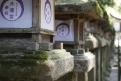06 - Nara - Kasuga Taisha (6)