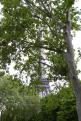 tour-eiffel (55)