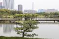 2 - parc Hamarikyu (28)