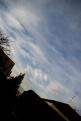 ciel