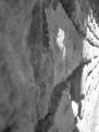 mur