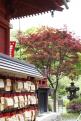 1 - Parc Ueno (25)