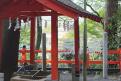 6 -Arashiyama (15)