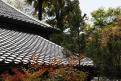 04 - Ryoan-ji (18)