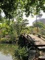4 - Jardin de Shoseien (5) New1
