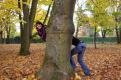 lejo arbre moitie (1)
