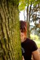 le arbre