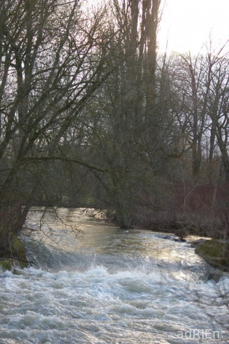 water (1)