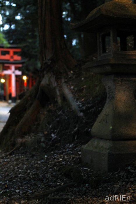 2 - fushimi inari taisha (14)
