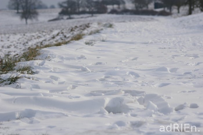 snow (2)