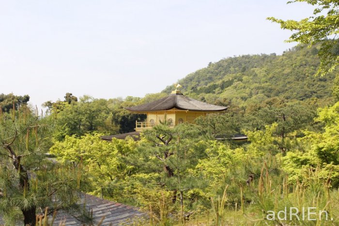 02 - Kinkaku-ji (1)