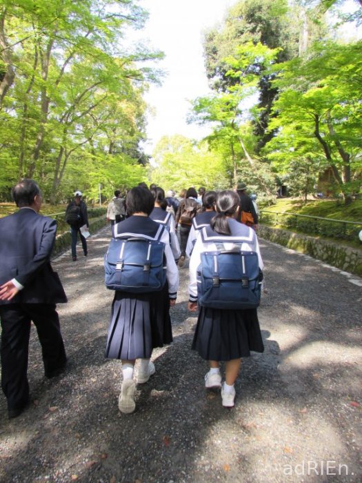 02 - Kinkaku-ji (2)