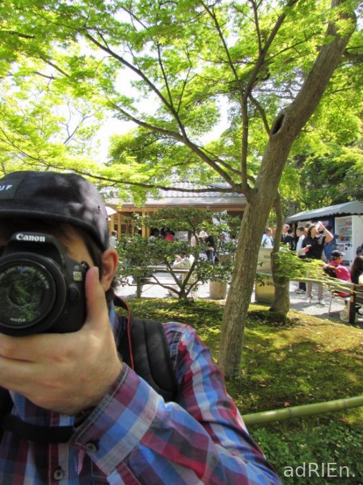 02 - Kinkaku-ji (4)