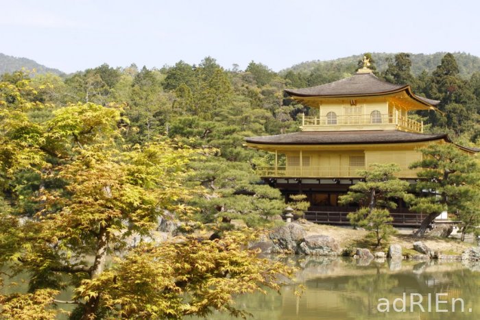 02 - Kinkaku-ji (5)