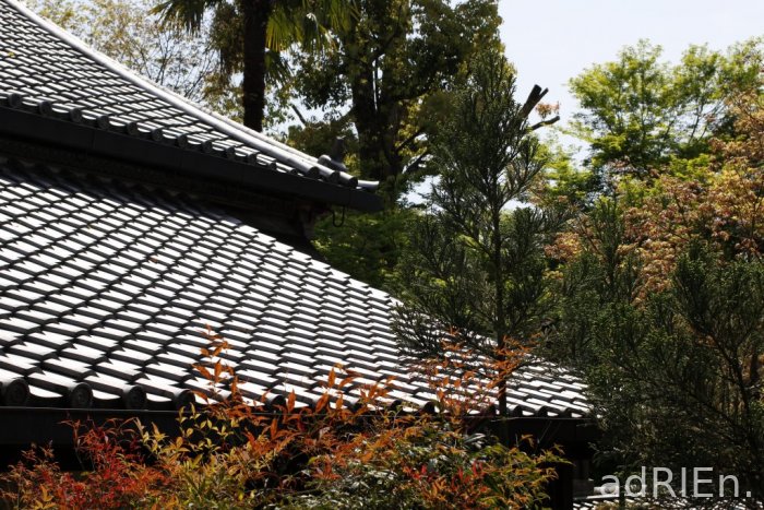 04 - Ryoan-ji (18)