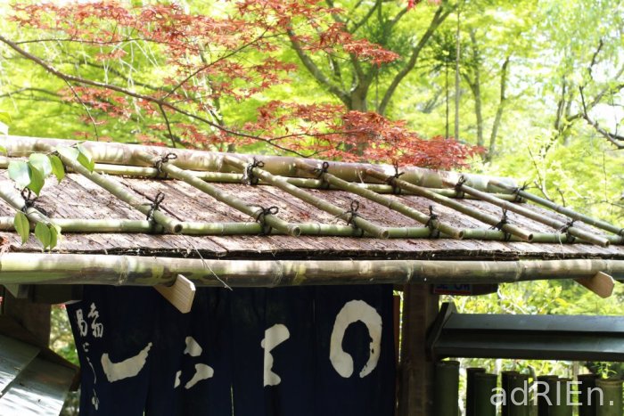 04 - Ryoan-ji (20)