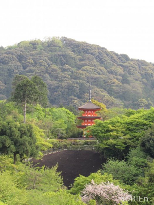 07 - Kiyomizu-dera (8)