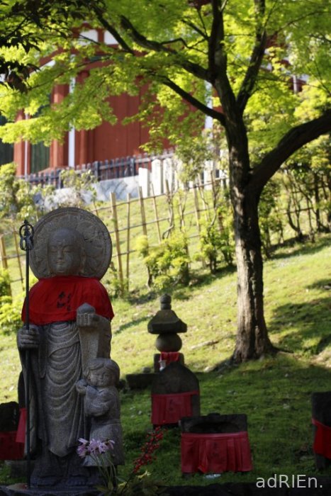 08 - Nara - Kokufuji   (3)