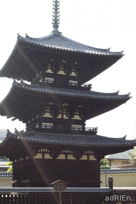 08 - Nara - Kokufuji   (4)