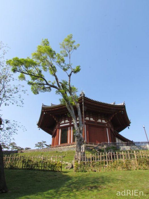 08 - Nara - Kokufuji (3)