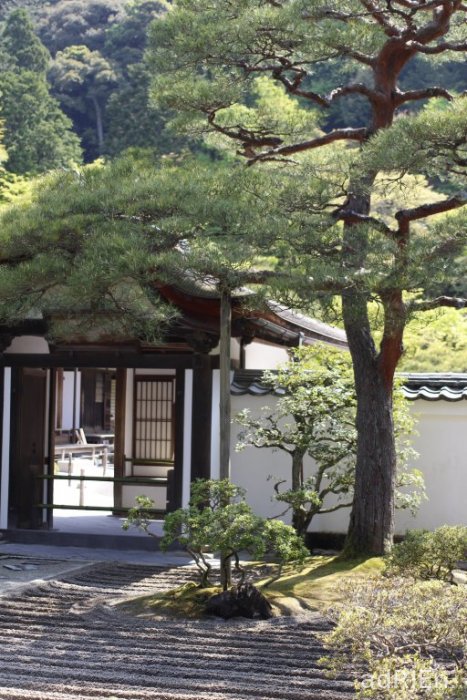 1 - Ginkakuji (4)