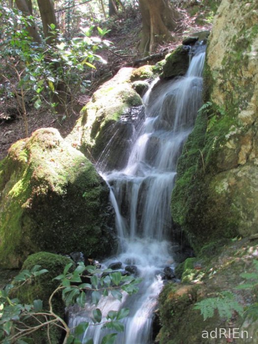 4 - Nanzenji (9)