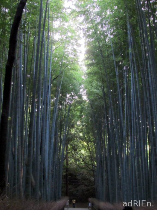 6 -Arashiyama (49)