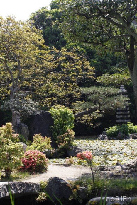 4 - Jardin de Shoseien (4)
