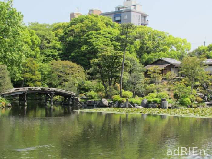 4 - Jardin de Shoseien (25)