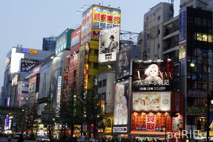 6 - Akihabara (15)