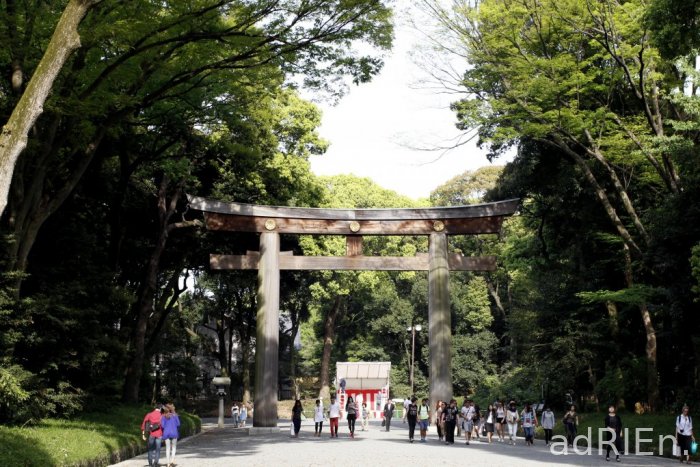 07 - Sanctuaire Meiji et parc yoyogi (4)