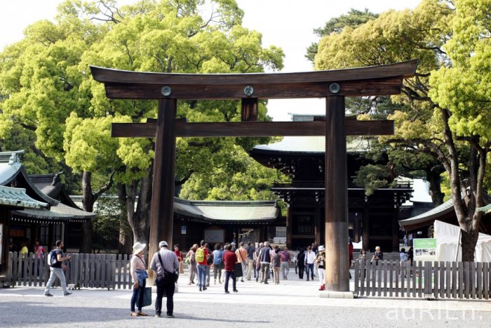07 - Sanctuaire Meiji et parc yoyogi (5)